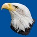 ist2_6407597-majestic-bald-eagle-haliaeetus-eucocephalus